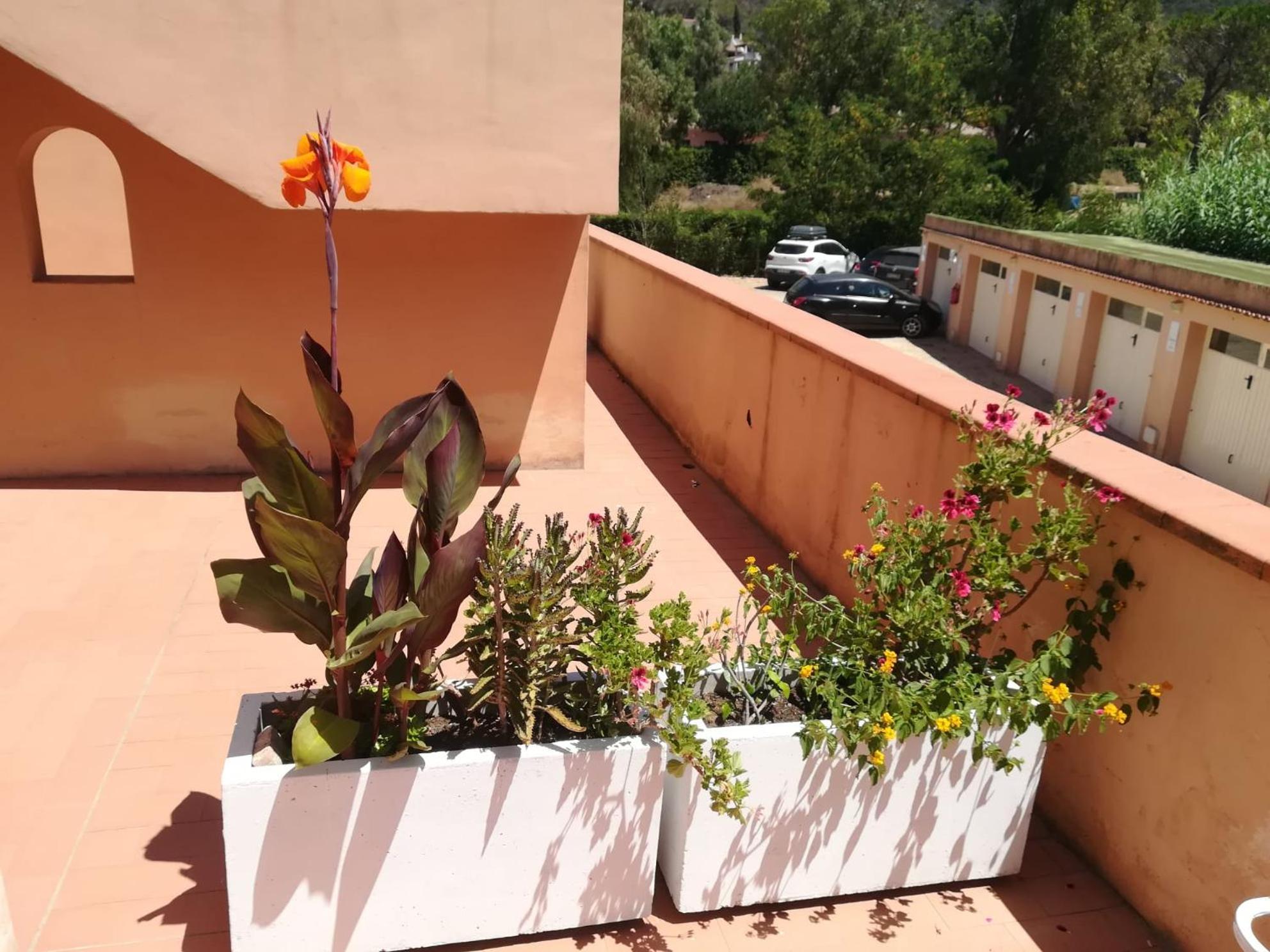 Holiday home Elbamare Con Piscina *