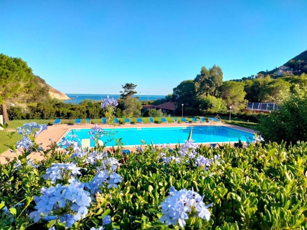 Elbamare Con Piscina Nisporto